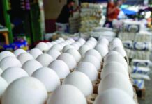 Precio de huevos mediano y pequeño reporta bajas este fin de semana