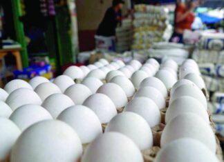 Prevén nuevos aumentos en el precio del cartón de huevos en Honduras