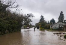 Un muerto y cortes eléctricos por las tormentas que golpean el este de Australia