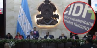 La Comision Interamericana de Derechos Humanos pide lograr acuerdos y el nombramiento del Fiscal General y Adjunto