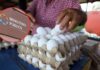 El MP inicia acciones legales contra productores de huevos que especularon precios, señala Fredis Cerrato