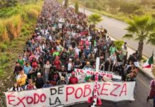 Denuncian la desaparición de 19 migrantes en su mayoría hondureños, en Chiapas