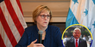 “Tengo una relación excelente y siempre estoy en contacto con el canciller”, dice la embajadora Laura Dogu