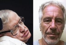 Los documentos de Epstein no revelan presuntos gustos sexuales de Stephen Hawking