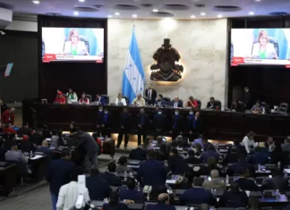 Oficialismo insiste en designar nombramientos interinatos ante falta de consenso en algunos temas en el CN