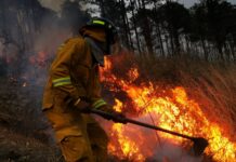 Destinarán 74 millones de lempiras para combatir los incendios forestales en Honduras