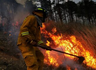 Destinarán 74 millones de lempiras para combatir los incendios forestales en Honduras