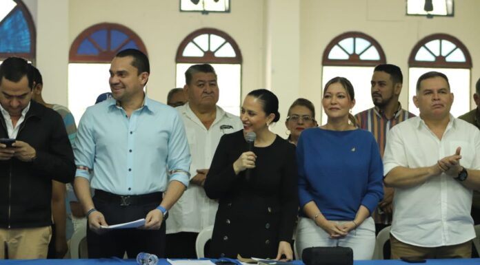 El Partido Nacional necesita renovarse para dar la pelea en las elecciones reconoce presidenta interina