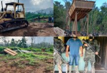 FFAA descubre tala ilegal de 100 manzanas de bosque en Gracias a Dios