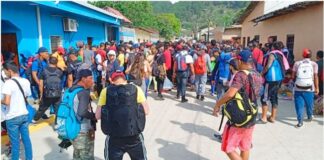 Red Humanitaria exhorta al Congreso Nacional que apruebe extensión de amnistía migratoria