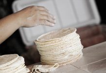 Productores descartan incremento al precio de la tortilla