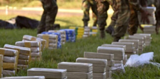 Bolivia decomisa 8.7 toneladas de cocaína escondidas en madera que iba hacia Países Bajos