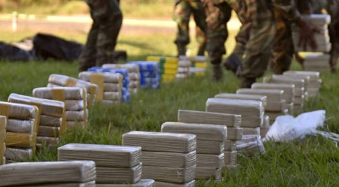 Bolivia decomisa 8.7 toneladas de cocaína escondidas en madera que iba hacia Países Bajos