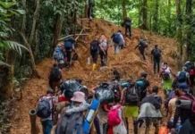 Más de 539, 000 migrantes cruzaron el Darién en 2023, según autoridad colombiana