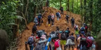Más de 539, 000 migrantes cruzaron el Darién en 2023, según autoridad colombiana