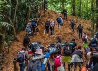 Más de 539, 000 migrantes cruzaron el Darién en 2023, según autoridad colombiana