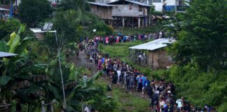 Más de 520.000 migrantes cruzaron selva de Darién en 2023, 120.000 fueron menores de edad