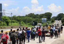 Unos 545,043 migrantes, el 42 % venezolanos, cruzaron Honduras rumbo a EE. UU. en 2023