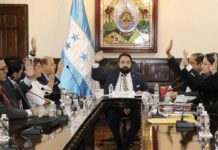 Tomás Zambrano pide informe sobre elección de fiscales interinos