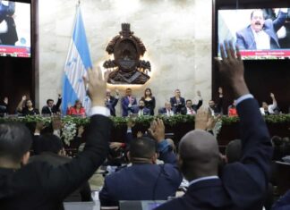 Congreso Nacional aprueba préstamo de $150 millones con el BID para construcción de tres hospitales