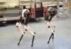 Diseñan un robot de dos patas capaz de caminar, detenerse y girar