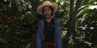 Hondureña echa mano de la innovación y las buenas prácticas para cosechar un café especial