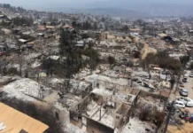 Intencionalidad de incendios en Chile está «completamente confirmada», dice gobernador