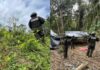 Fuerzas Armadas aseguran más de 21 mil arbustos de coca en Iriona
