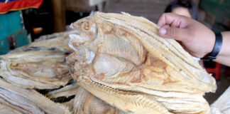 Decomisan pescados en mal estado en mercados de la capital