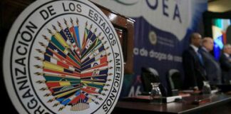 La OEA dice que no hay dudas sobre los resultados presidenciales en El Salvador