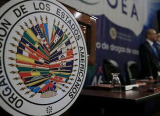 La OEA dice que no hay dudas sobre los resultados presidenciales en El Salvador
