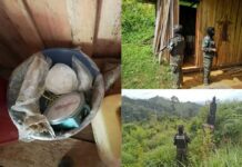 Aseguran narcolaboratorio, viveros y varias plantaciones de arbustos de coca en Olancho