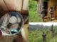 Aseguran narcolaboratorio, viveros y varias plantaciones de arbustos de coca en Olancho