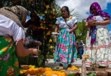 La OEI alerta de la baja presencia digital de las lenguas indígenas iberoamericanas