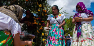 La OEI alerta de la baja presencia digital de las lenguas indígenas iberoamericanas