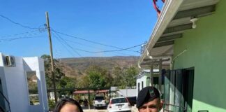 Rescatan un bebé ocelote al que le mataron la mamá en Guaimaca