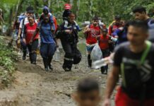 Panamá: crimen organizado «ganó» 820 millones de dólares moviendo migrantes por el Darién