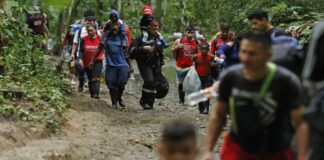 Panamá: crimen organizado «ganó» 820 millones de dólares moviendo migrantes por el Darién