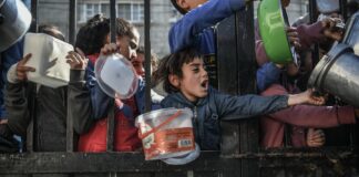 La OMS pide reanudar el acceso humanitario a toda la franja de Gaza para evitar una hambruna