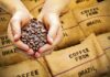 Las exportaciones de café brasileño se dispararon un 48.9 % en febrero