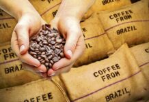 Las exportaciones de café brasileño se dispararon un 48.9 % en febrero
