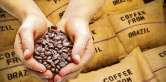 Las exportaciones de café brasileño se dispararon un 48.9 % en febrero