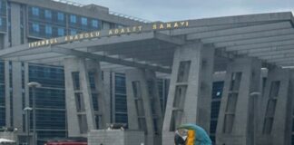 Un hombre de Turquía descubrió gracias a sus loros que su mujer lo estaba engañando