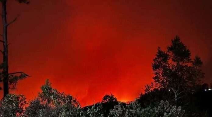 Unas 500 hectáreas de bosque han sido arrasadas por el incendio en La Tigra