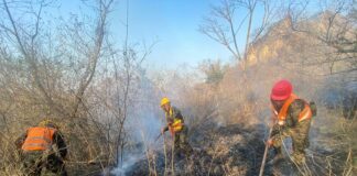 Las FFAA despliegan esfuerzos en la lucha contra incendios forestales durante la Semana Santa