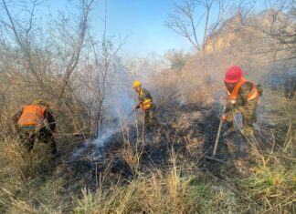 Las FFAA despliegan esfuerzos en la lucha contra incendios forestales durante la Semana Santa