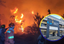 Fiscal Johel Zelaya anunció la creación de la Unidad Especializada en Delitos Ambientales (UNEDA)