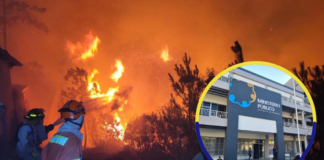 Fiscal Johel Zelaya anunció la creación de la Unidad Especializada en Delitos Ambientales (UNEDA)