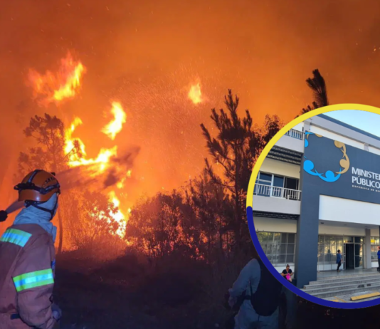 Fiscal Johel Zelaya anunció la creación de la Unidad Especializada en Delitos Ambientales (UNEDA)