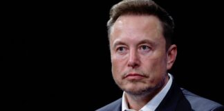 Elon Musk: “Puede que, en el tramo final de las elecciones respalde a un candidato»